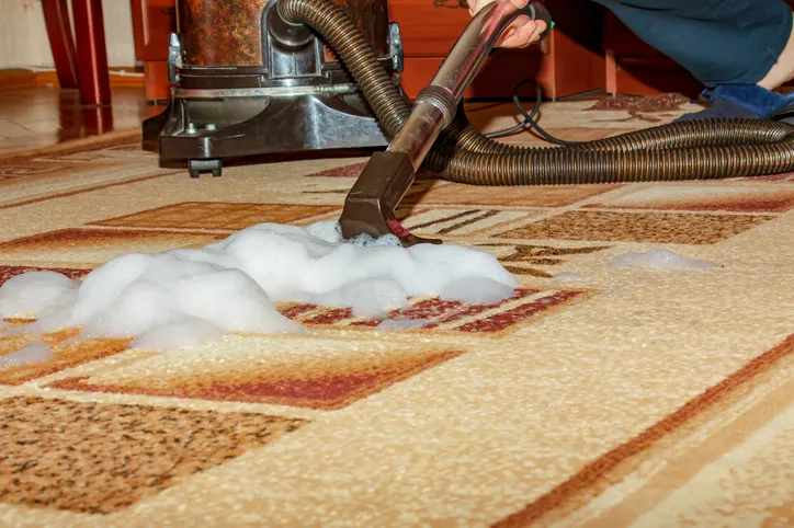 How Often Should You Schedule Carpet Deep Cleaning Services in Olympia WA How Often Should You Schedule Carpet Deep Cleaning Services in Olympia WA